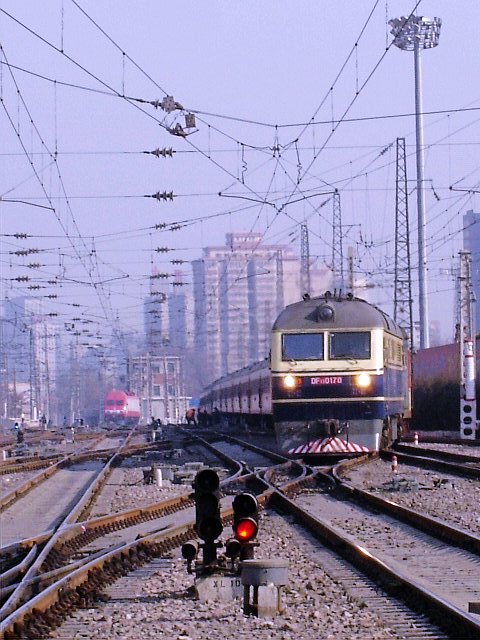 DF11 0170.jpg